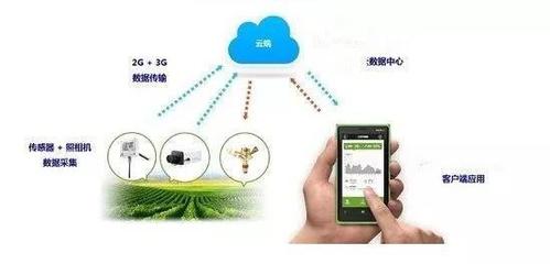 三大举措推进"互联网+农业",让手机成为广大农民的"新农具"